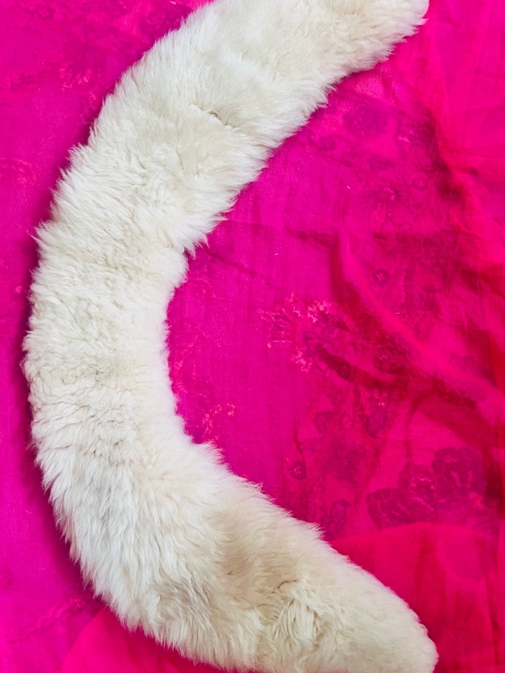 Cream Faux Fur Collar/Scarf